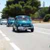 Montevago 2010 (417)